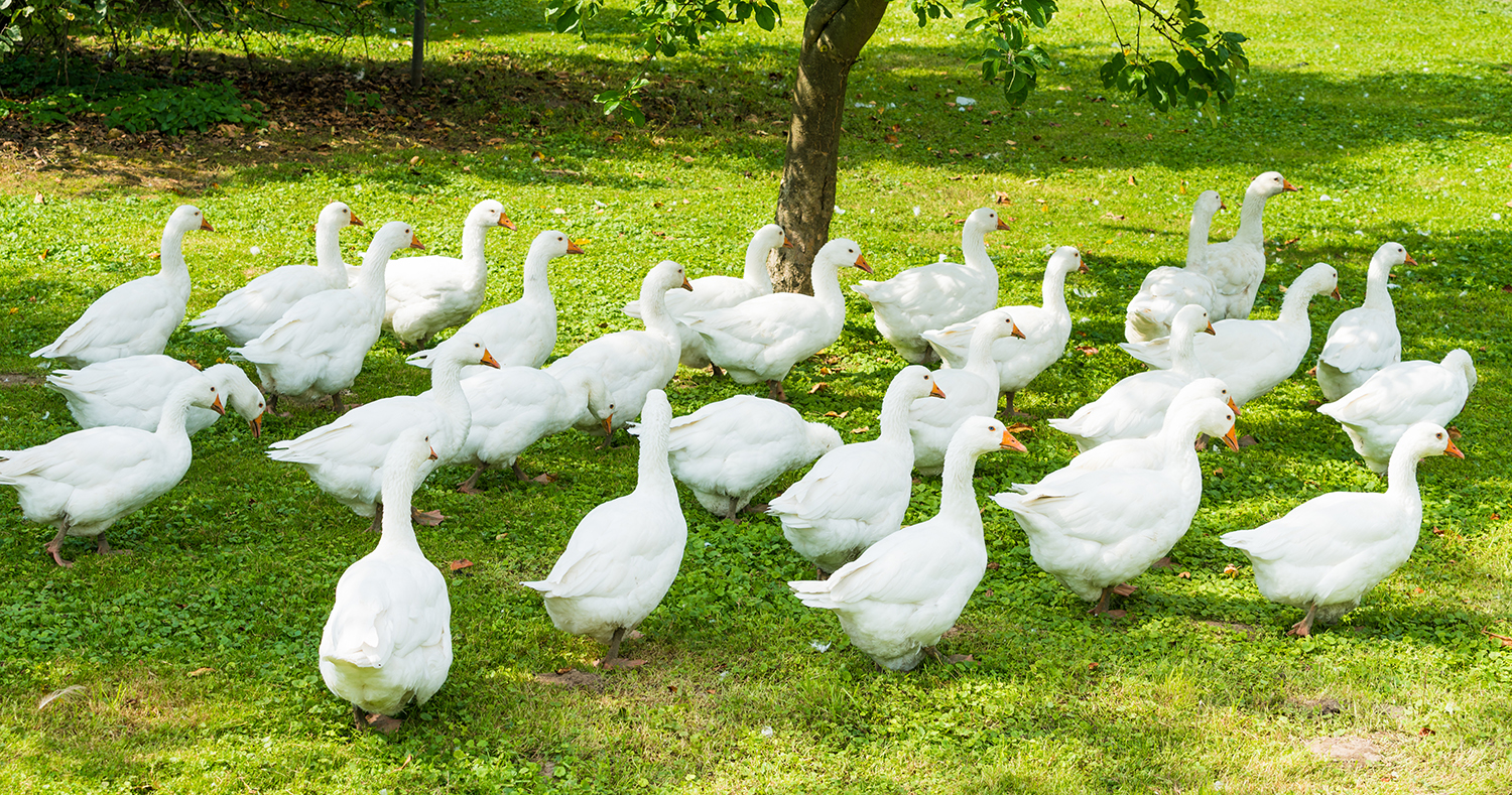 山東佰惠恒業(yè)生物科技工程有限公司